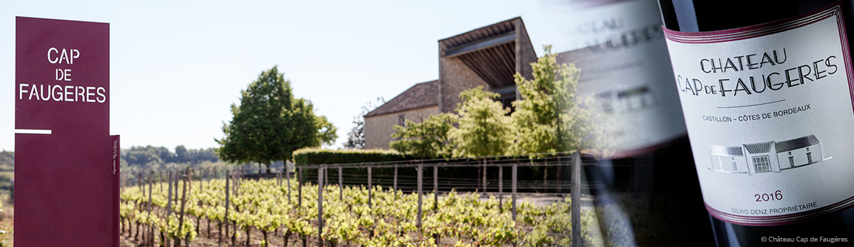 Château Cap de Faugères