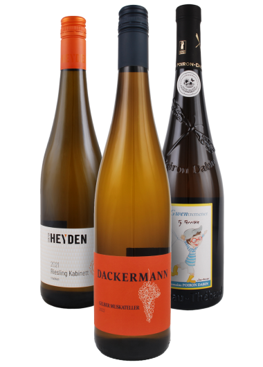 3 Weintipps zum Kürbis