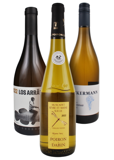 3er Weinpaket zum Fisch