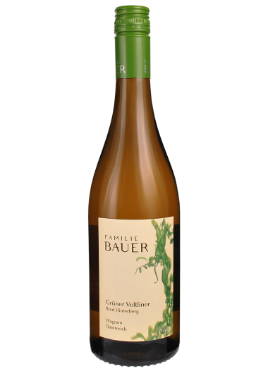 2022 Grüner Veltliner "Hinternberg" BIO