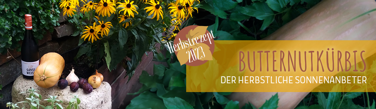 Herbstrezept 2023: Butternutkürbis