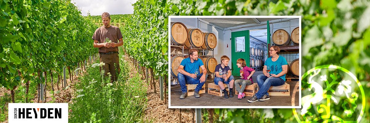 Nachgefragt! Weingut Doktor Heyden