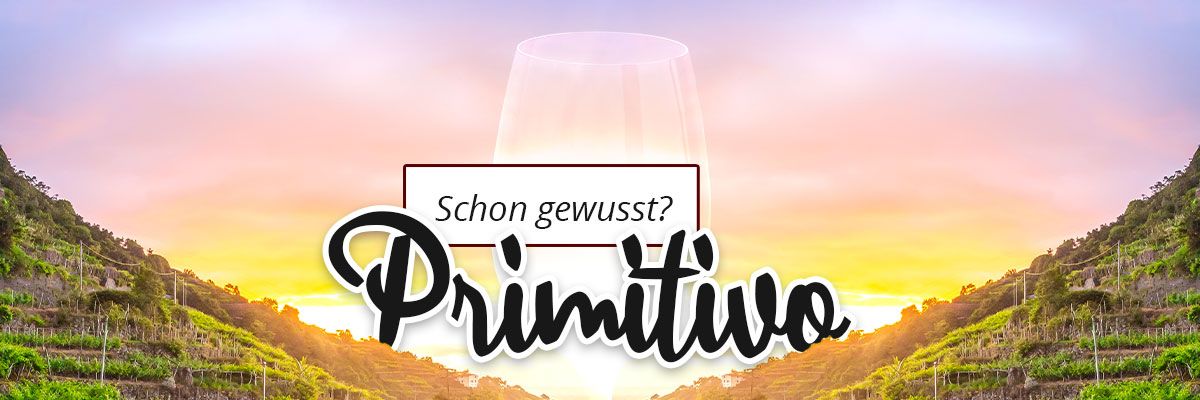 Schon gewusst ... ? Primitivo