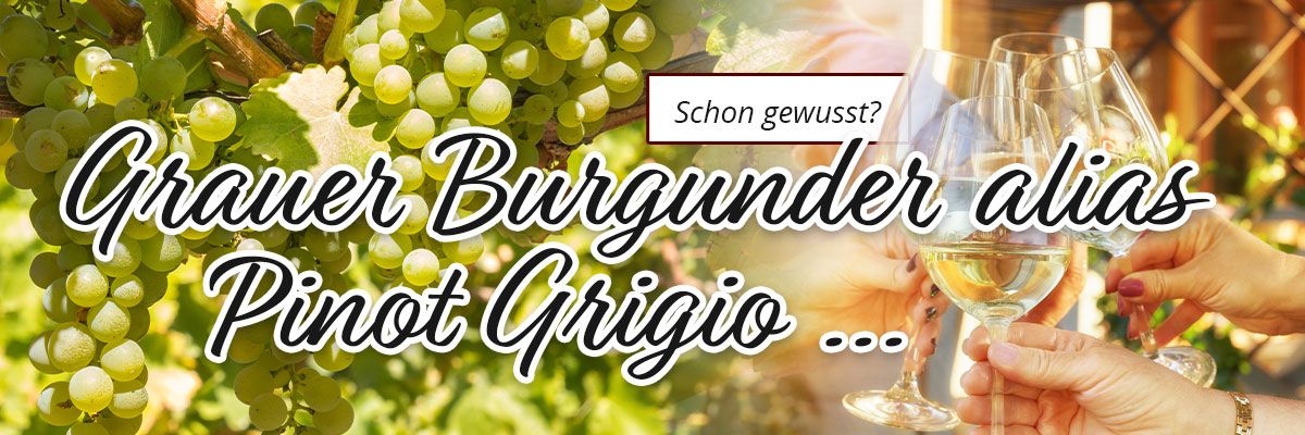 Schon gewusst ... ? Pinot Grigio alias Grauer Burgunder 