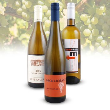 3er Weißweinpaket 