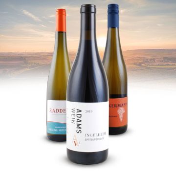 3er Weine aus Rheinhessen