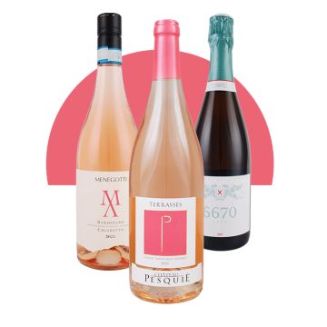 3er Rosé Paket - Frühjahr 2024 