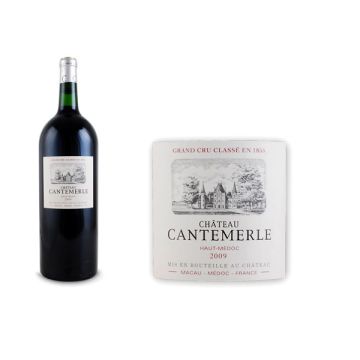 2009 Château Cantermerle Magnum 5ème Grand Cru Classé AOC