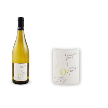 2022 Sauvignon Touraine Blanc