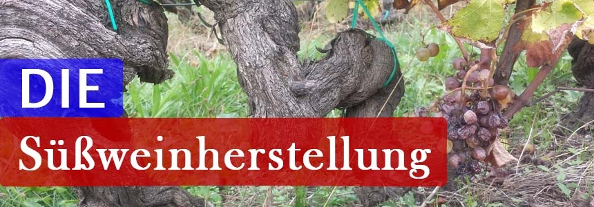 DIE Süßweinherstellung im Bordeaux (und Tokaji)