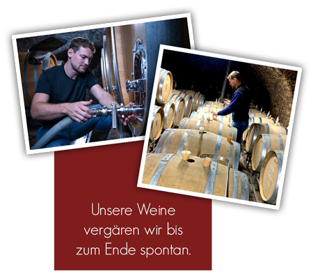 Weingut Andres Spontanvergärung