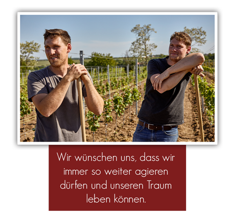 Weingut Andres Zukunftsvision