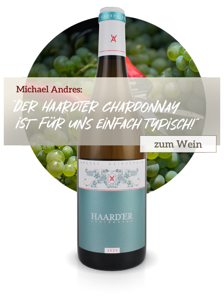 Verlinkung Anfängerwein Weingut Andres