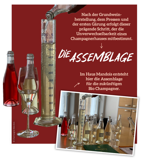 Assemblage bei Champagne Mandois