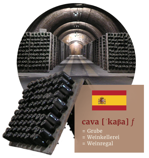 Begriffserklärung Cava Weinkeller