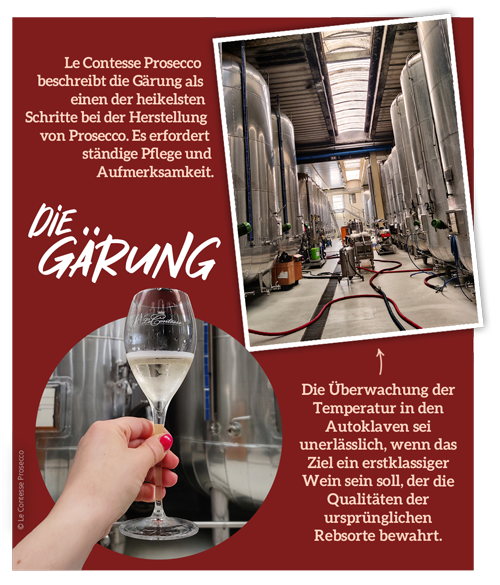 Prosecco-Gärung in großen Tanks bei Le Contesse Prosecco