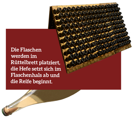 Beispiel einer Rüttelplatte zum Lagern von Flaschengärungs-Weinen