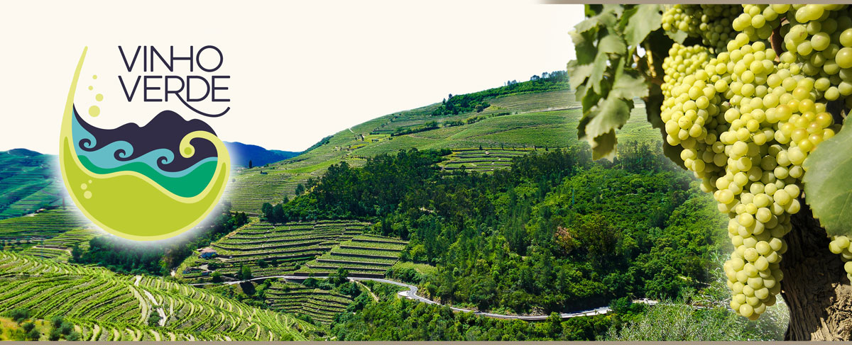 Weinberge in Vino Verde