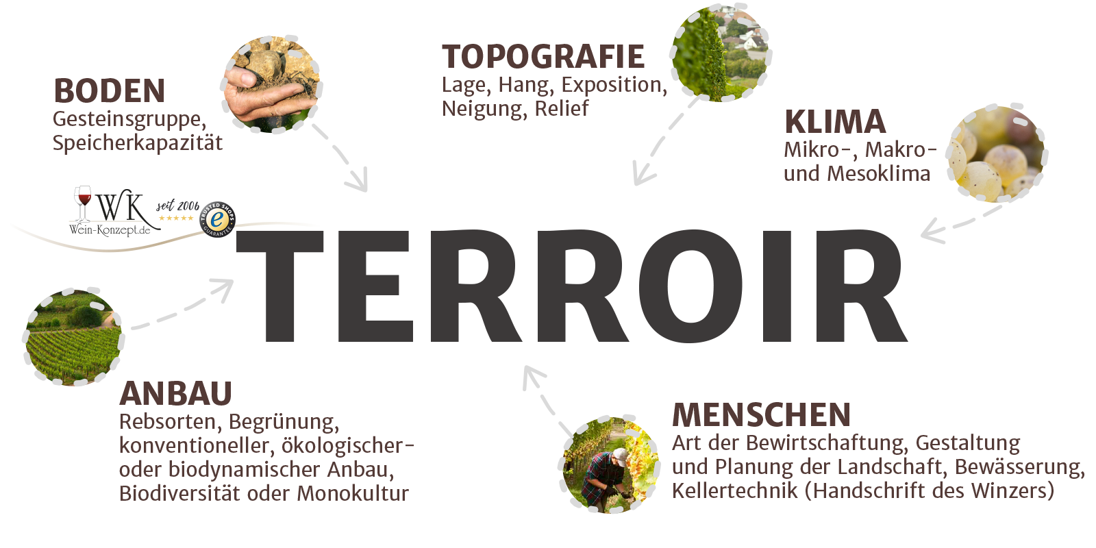 Terroir beim Wein