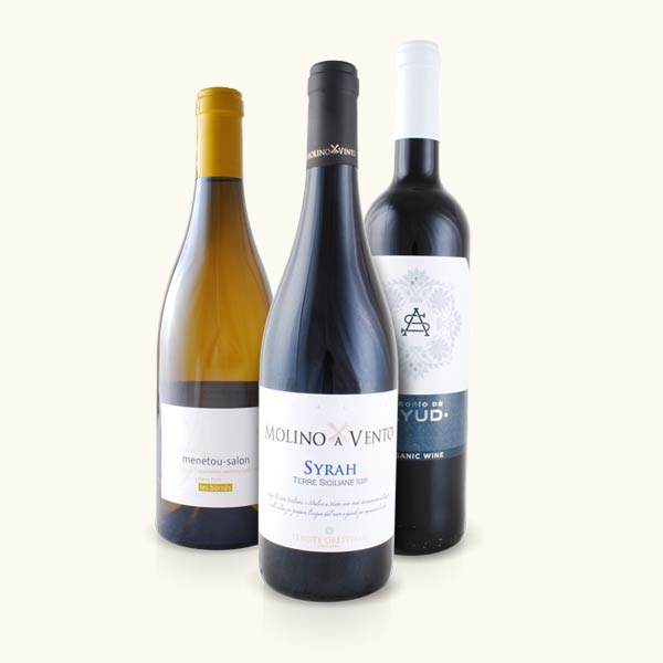Herbstweinpaket Rundreise Herbstweinpaket Rundreise
