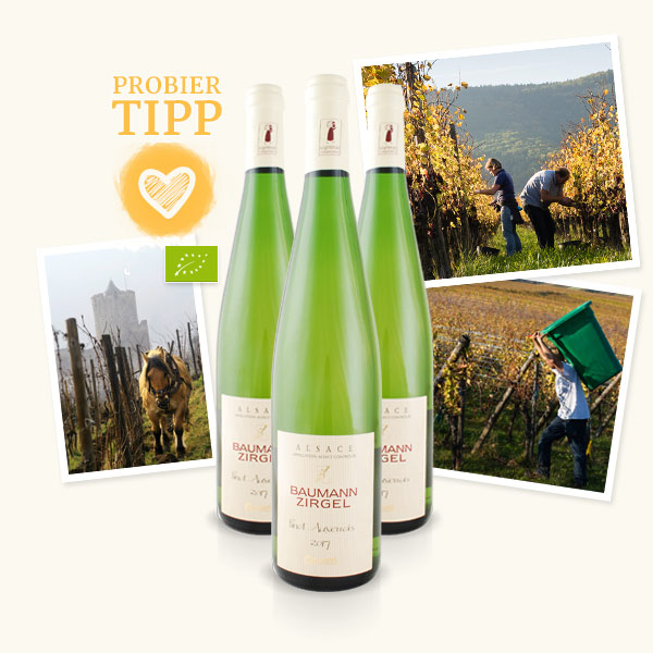 Vorteilspaket Pinot Auxerrois Vorteilspaket Pinot Auxerrois
