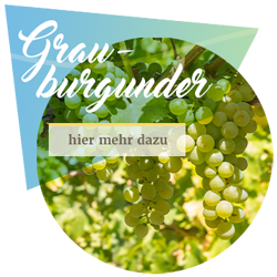 Mehr Informationen zum Grauburgunder