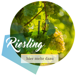 Mehr Informationen zum Riesling