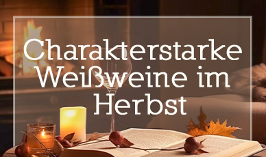 Charakterstarke Weißweine bei Wein-Konzept