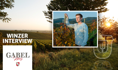 Blogartikel Winzerinterview Weingut Gabel