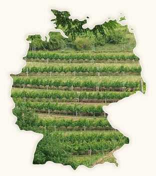 Deutscher Wein