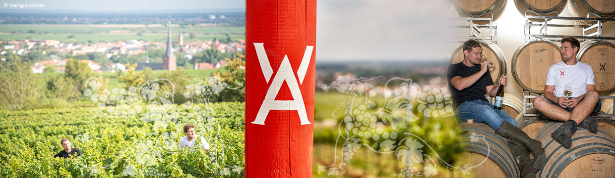 BIO Chardonnay Weißburgunder & 2022 trocken