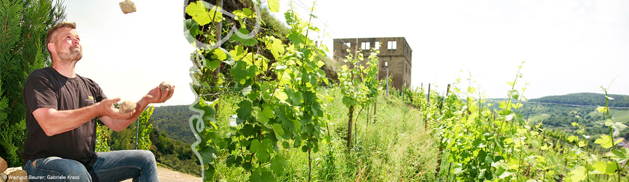 Weingut Beurer