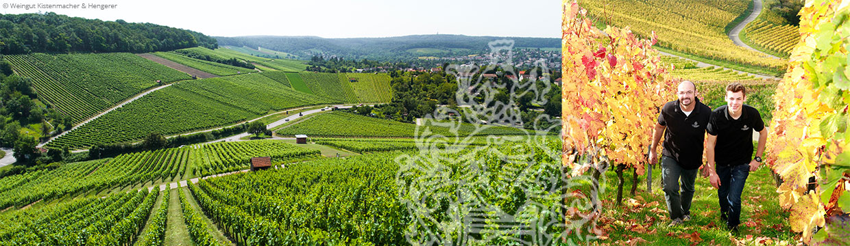 Weingut Kistenmacher & Hengerer