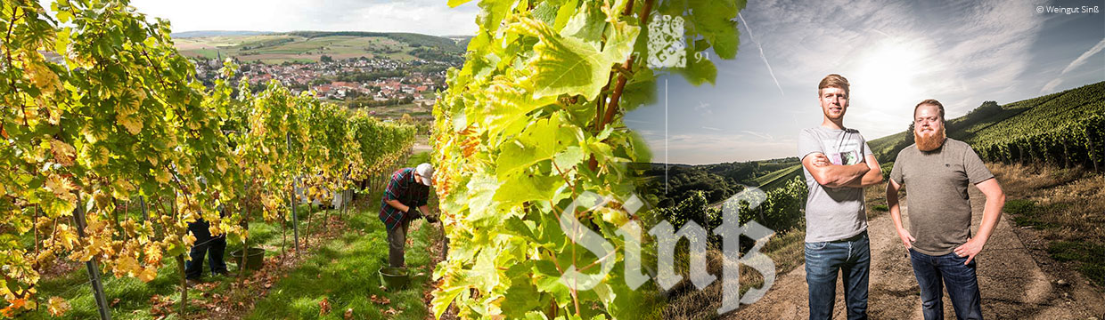 Weingut Sinß