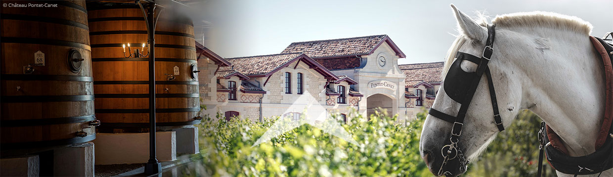 Pontet-Canet Château Winzer Frankreich - -