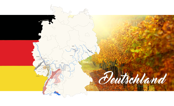 Wein aus Deutschland im Wein-Shop von Wein-Konzept.de